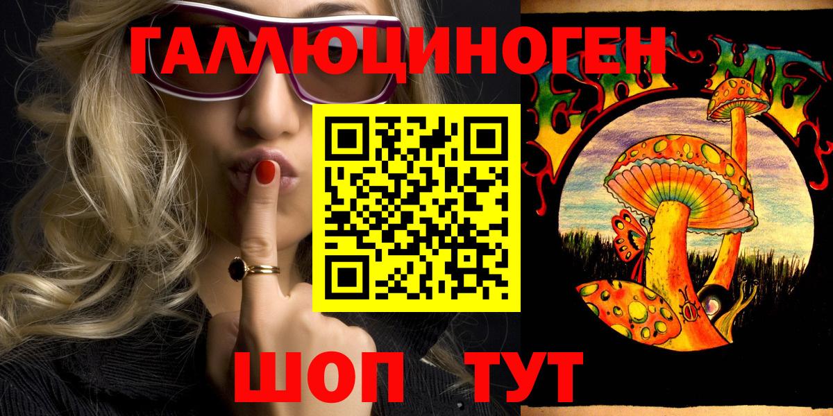 Галлюциногенные грибы Psilocybine cubensis Рубцовск