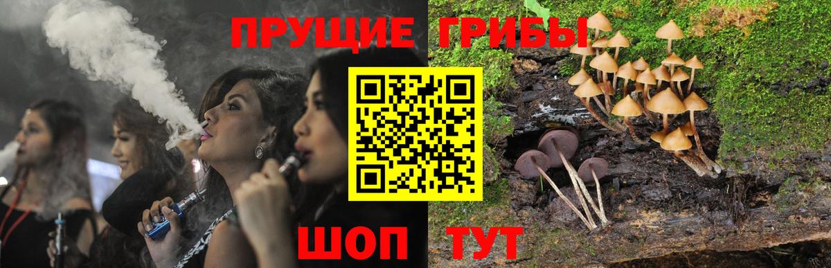Рубцовск  Псилоцибиновые грибы прущие грибы  Вход с VPN 